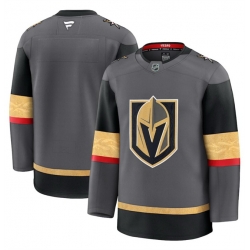 Men Vegas Golden Knights Blank Grey 2024 25 Alternate Stitched Hockey Jersey