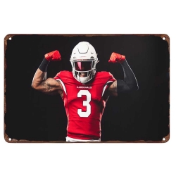 Arizona Cardinals Aluminum Sign 12x8 Inch Budda Baker 002