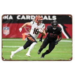 Cincinnati Bengals Aluminum Sign 12x8 Inch Trenton Irwin 003